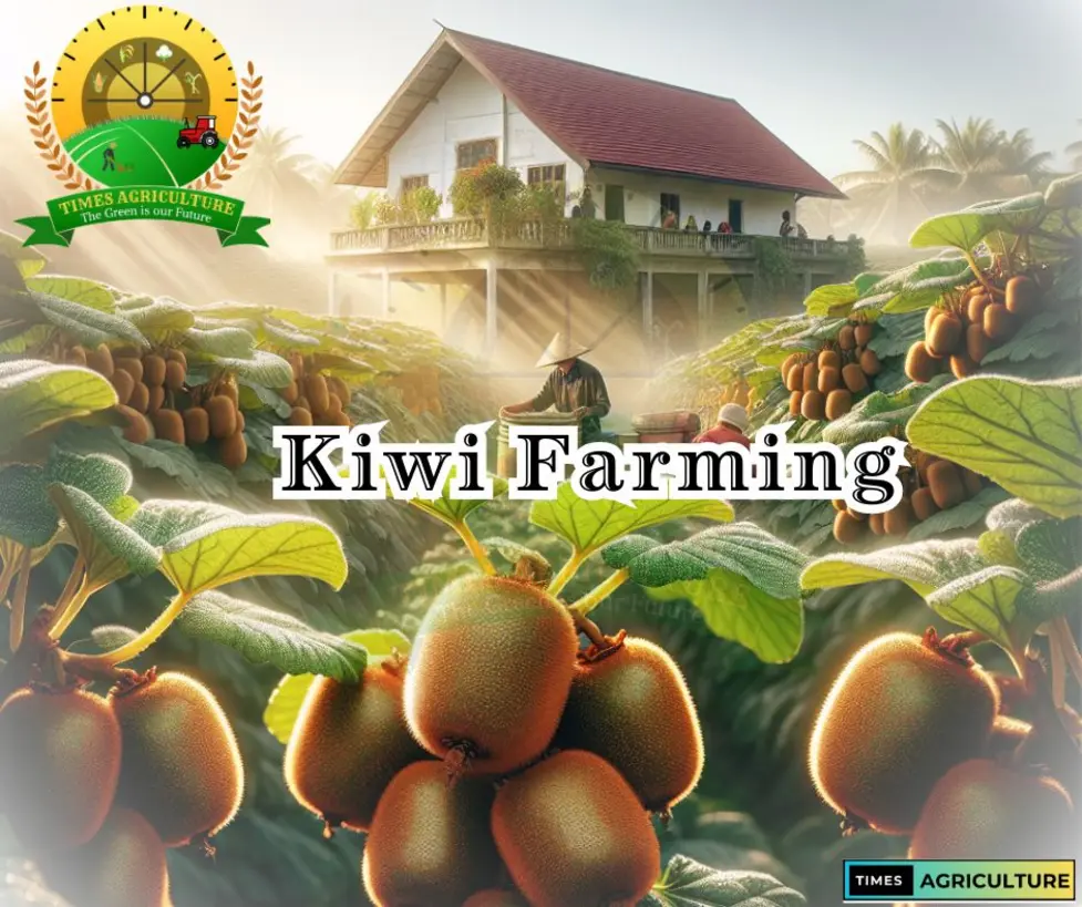 Kiwi farming innovative practices