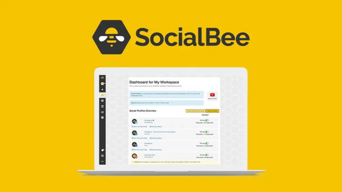 SocialBee AppSumo case study