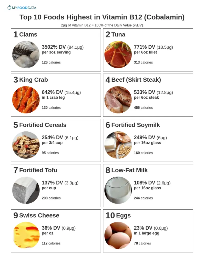 Foods high in B12 list