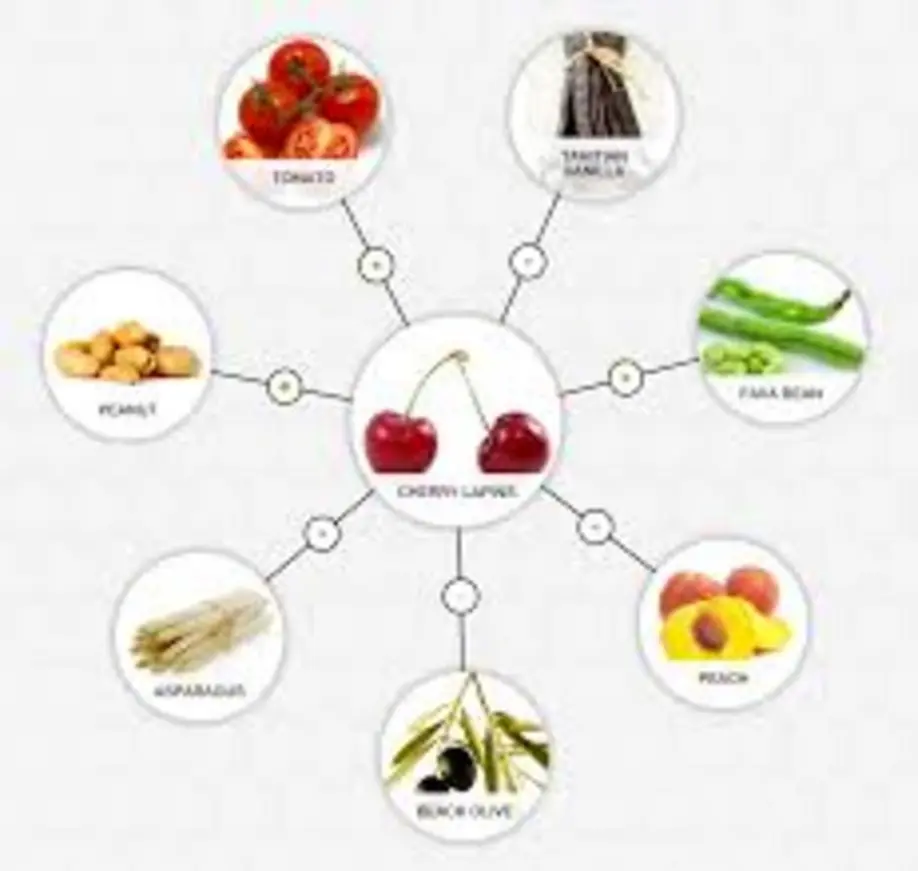 Tennis equipment discounts chart — guide for pairing best brands and gear for USA tennis community membership