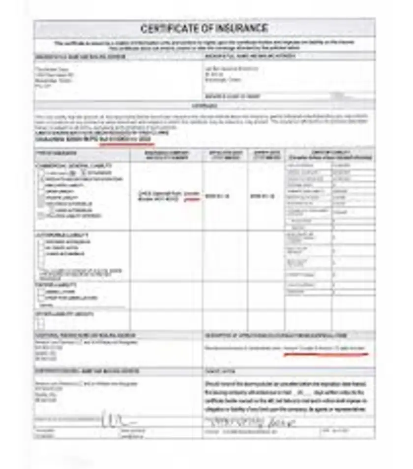 Digital certificate illustration