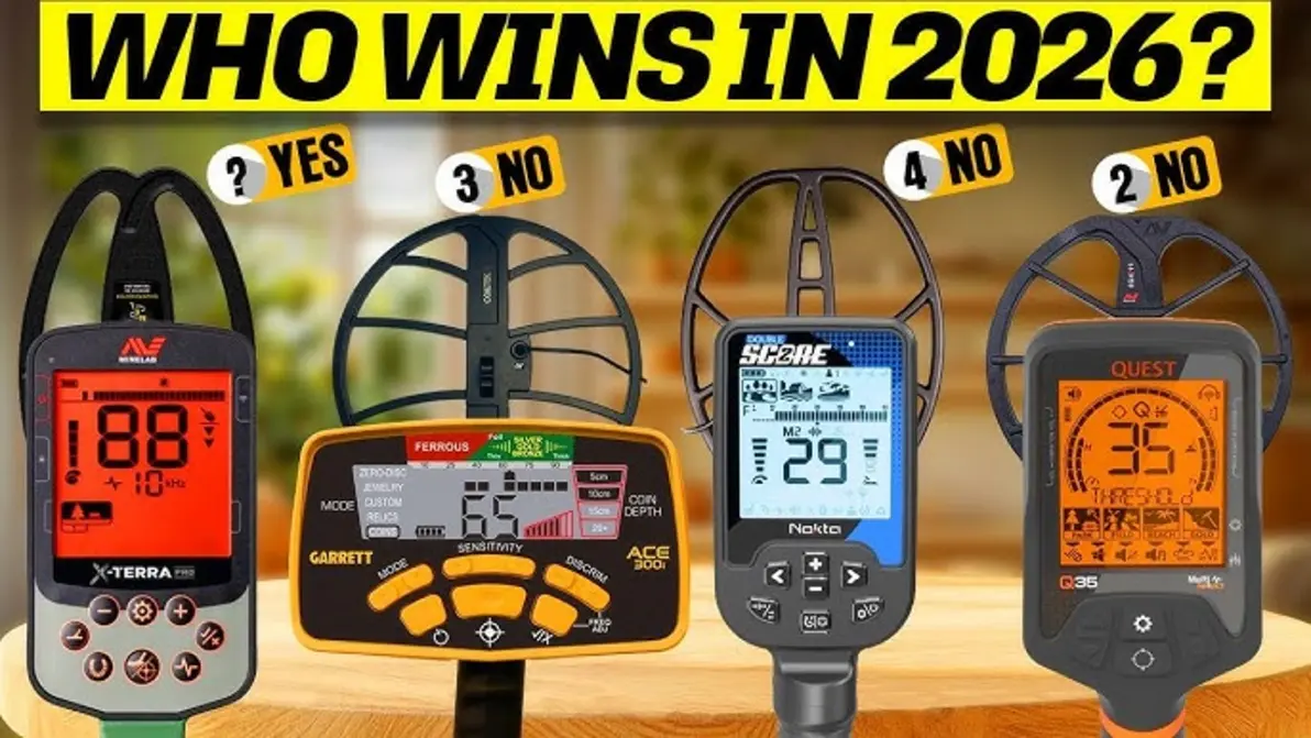 Kellyco Customer Experience: Reviews and Support Highlights