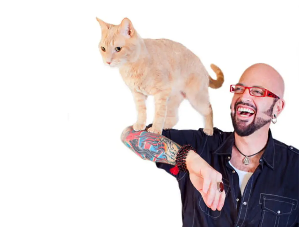 Jackson Galaxy demonstrating cat behavior solutions with real cats in a home setting.