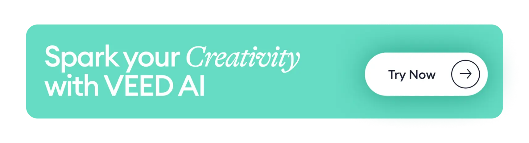 VEED.io Beginner Workflow